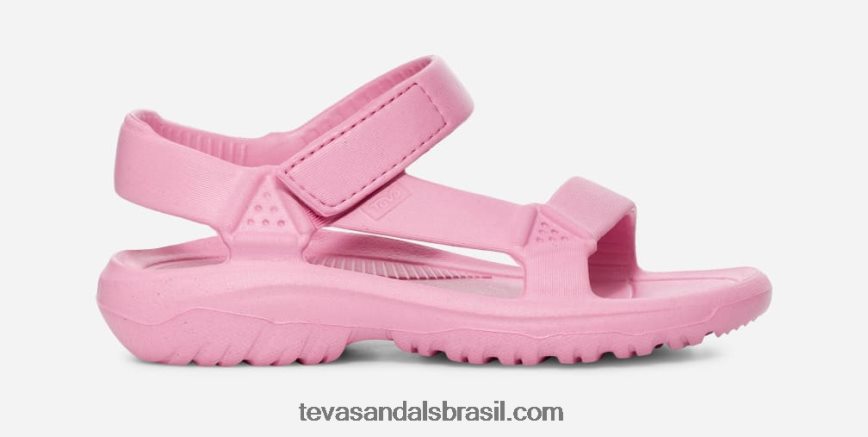 crianças à deriva do furacão X88NTZ345 flor de rosa Teva - Image 1