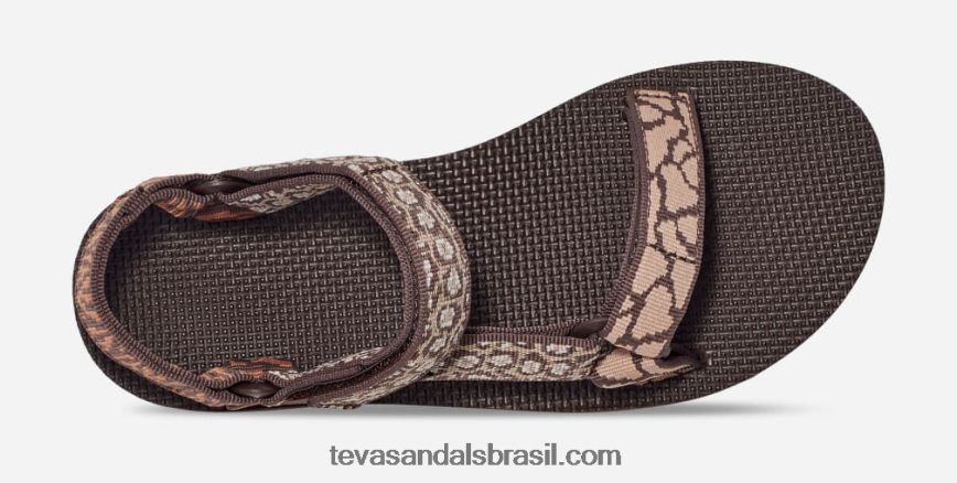 feminino midform universal X88NTZ22 açúcar de bordo gemina Teva - Image 5