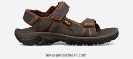 katavi masculino 2 X88NTZ394 azeitona preta Teva