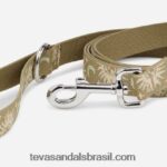 trela para cães 25mm X88NTZ211 sol e lua aloe Teva